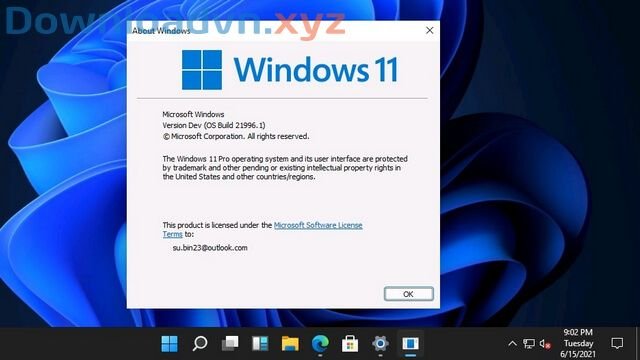 Phiên bản Windows 11
