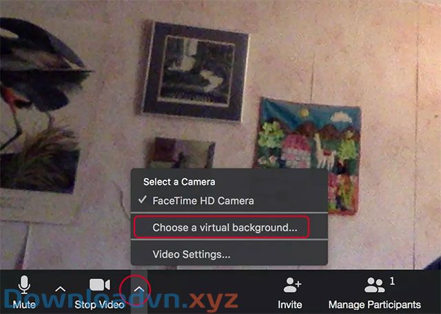 Thêm nền ảo khi đang trong cuộc gọi video của Zoom
