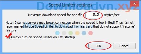 Cách tăng tốc Internet Download Manager hiệu quả nhất